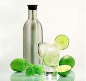 SodaPlus Soda Carbonating Starter Kit
